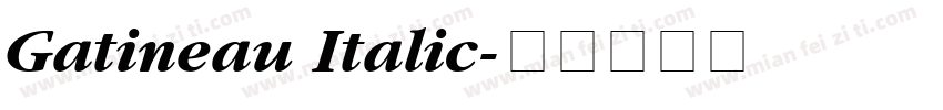 Gatineau Italic字体转换
